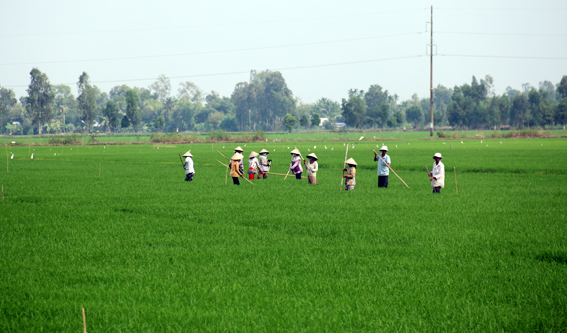 NN-benvung-01B.jpg